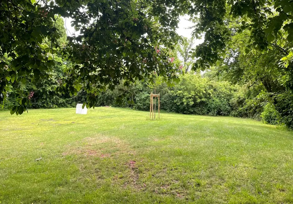 Die Liegewiese am Moskaubad wird für etwa zweieinhalb Monate zum Hasebeach. / Foto: Cocktail Paradise