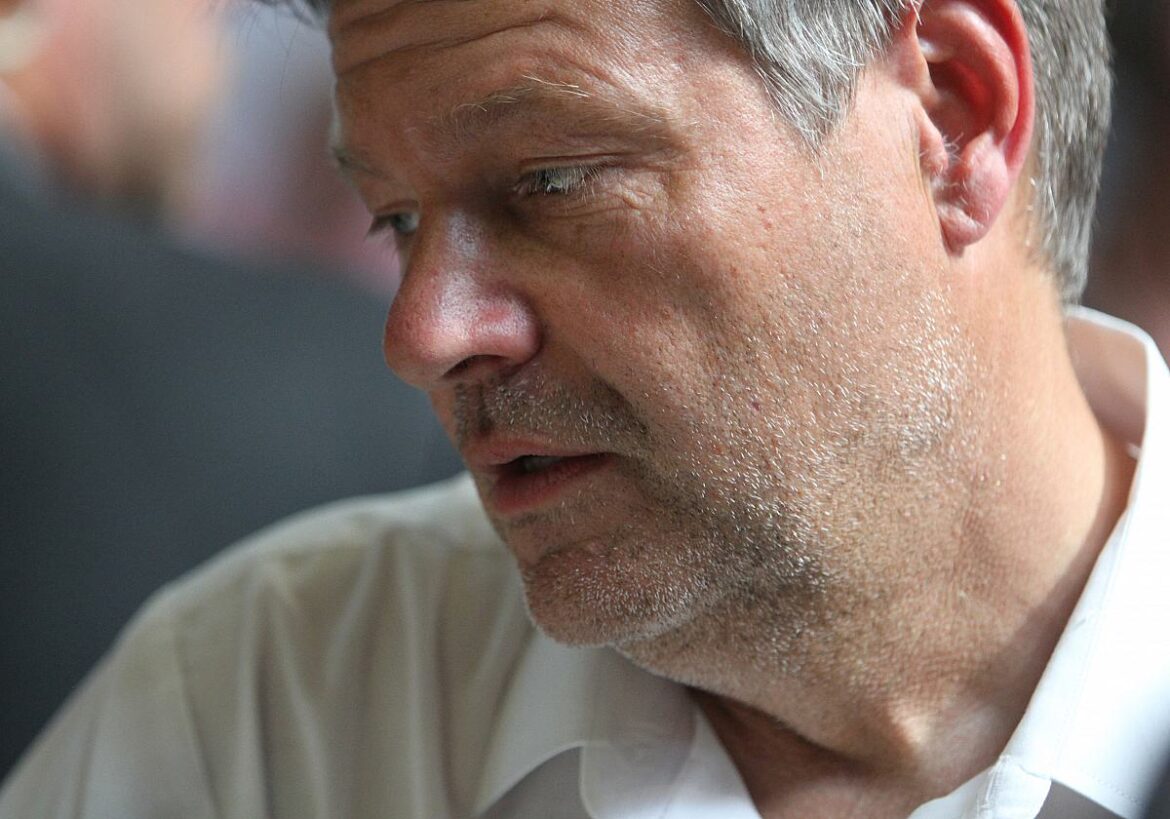 Wirtschaftsminister Robert Habeck (Grüne)