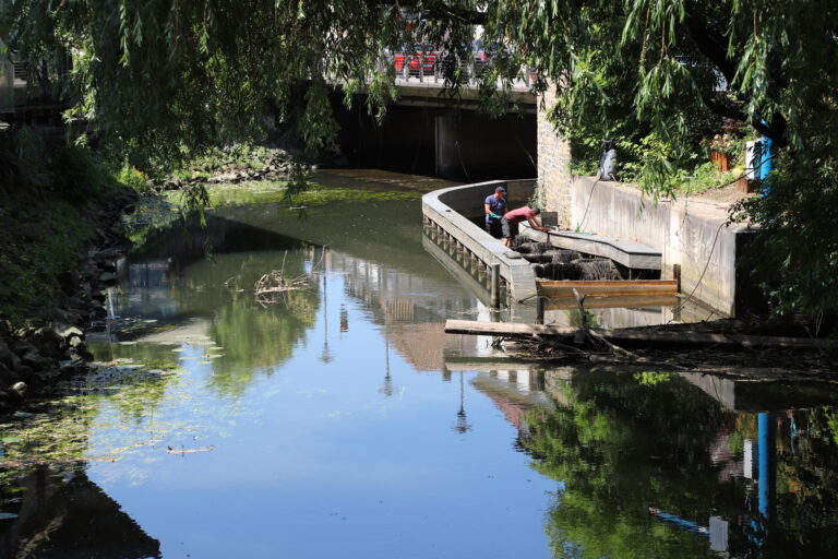 Das Wasser links ist durch das Wehr gestaut, rechts befindet sich der Fischpass. / Foto: Simon Vonstein
