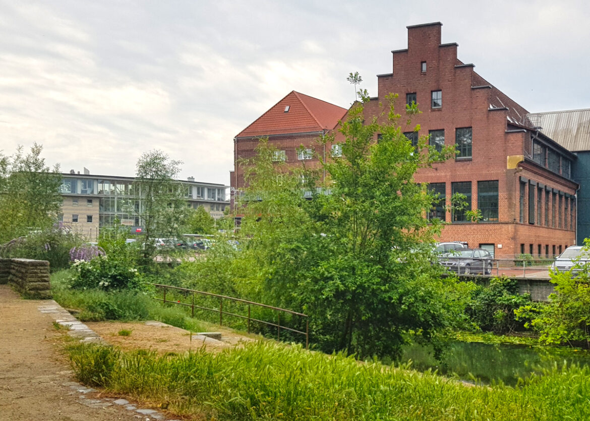 Hase am Raiffeisenplatz in Osnabrück