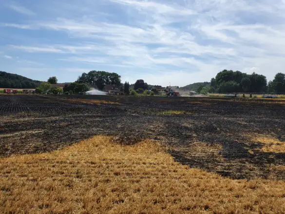 Feuer auf Feld breitet sich rasch aus, Wohnhäuser gefährdet Feuer auf Feld breitet sich rasch aus, Wohnhäuser gefährdet