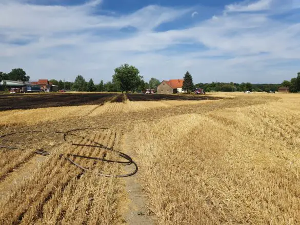 Feuer auf Feld breitet sich rasch aus, Wohnhäuser gefährdet Feuer auf Feld breitet sich rasch aus, Wohnhäuser gefährdet