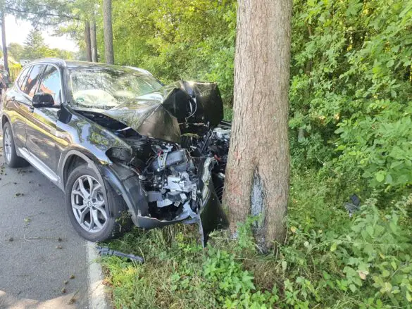 PKW prallt vor Baum in Georgsmarienhütte, Notrufsystem löst aus