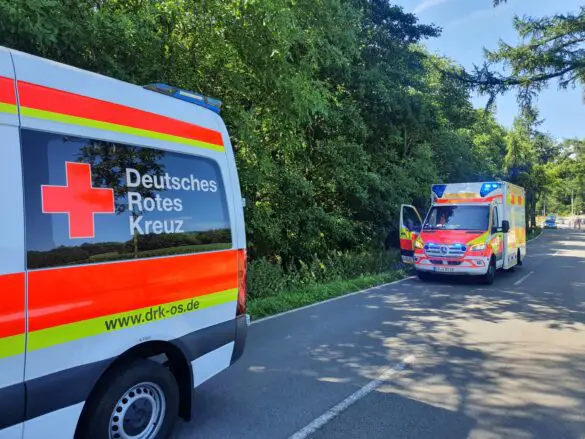 PKW prallt vor Baum in Georgsmarienhütte, Notrufsystem löst aus
