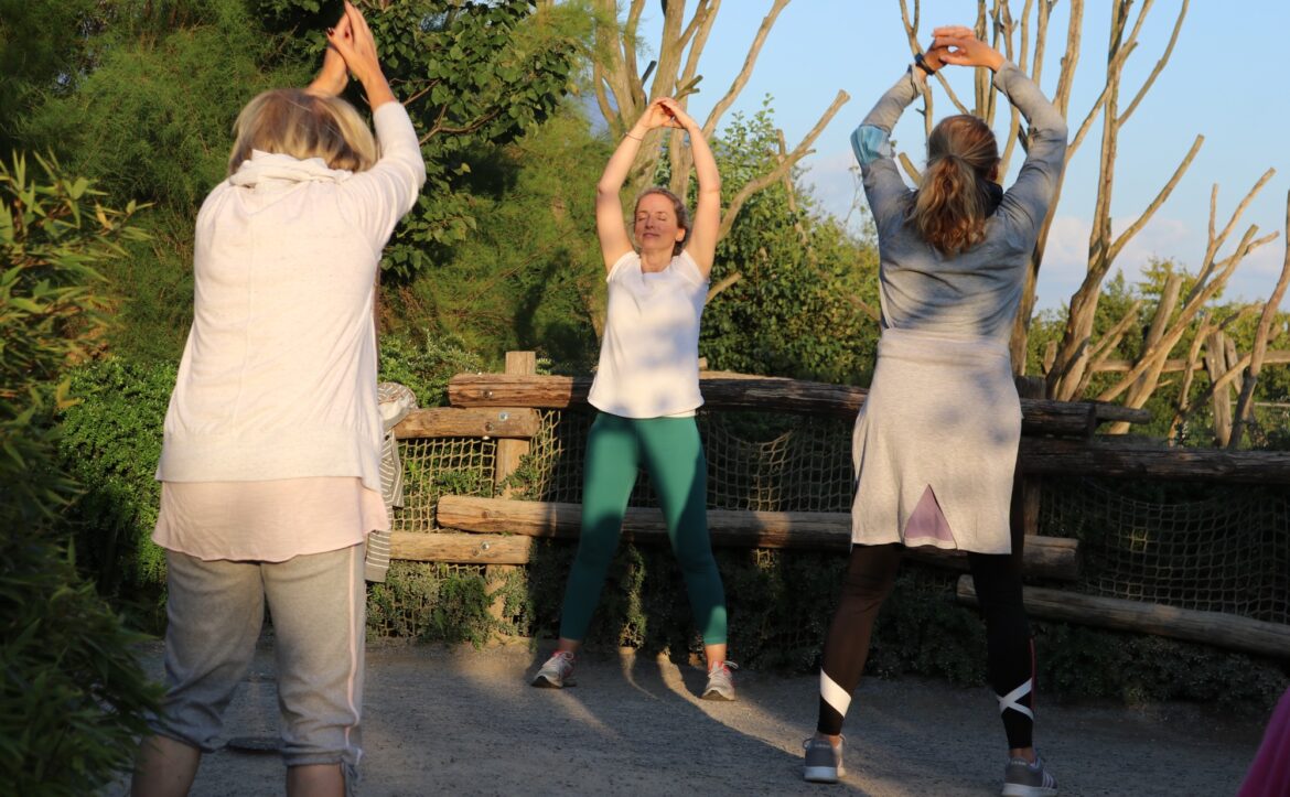 Im abendlichen Sonnenlicht in tierischer Atmosphäre entspannen – das geht beim „Yoga im Zoo“. / Foto: Felina Schmeckenbecher