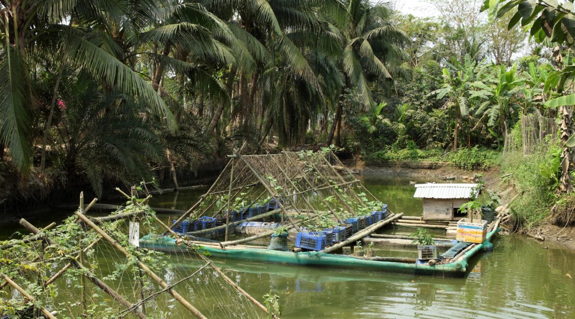 Eines der geförderten Projekte von Brot um die Welt: Ein schwimmender Garten in Bangladesch. / Foto: Brot für die Welt.