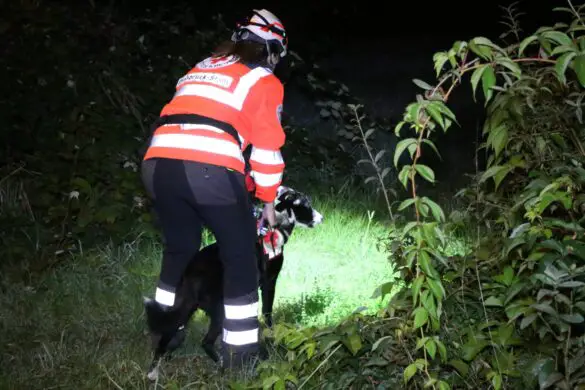 Flächensuchhund startet Suche an Wiese