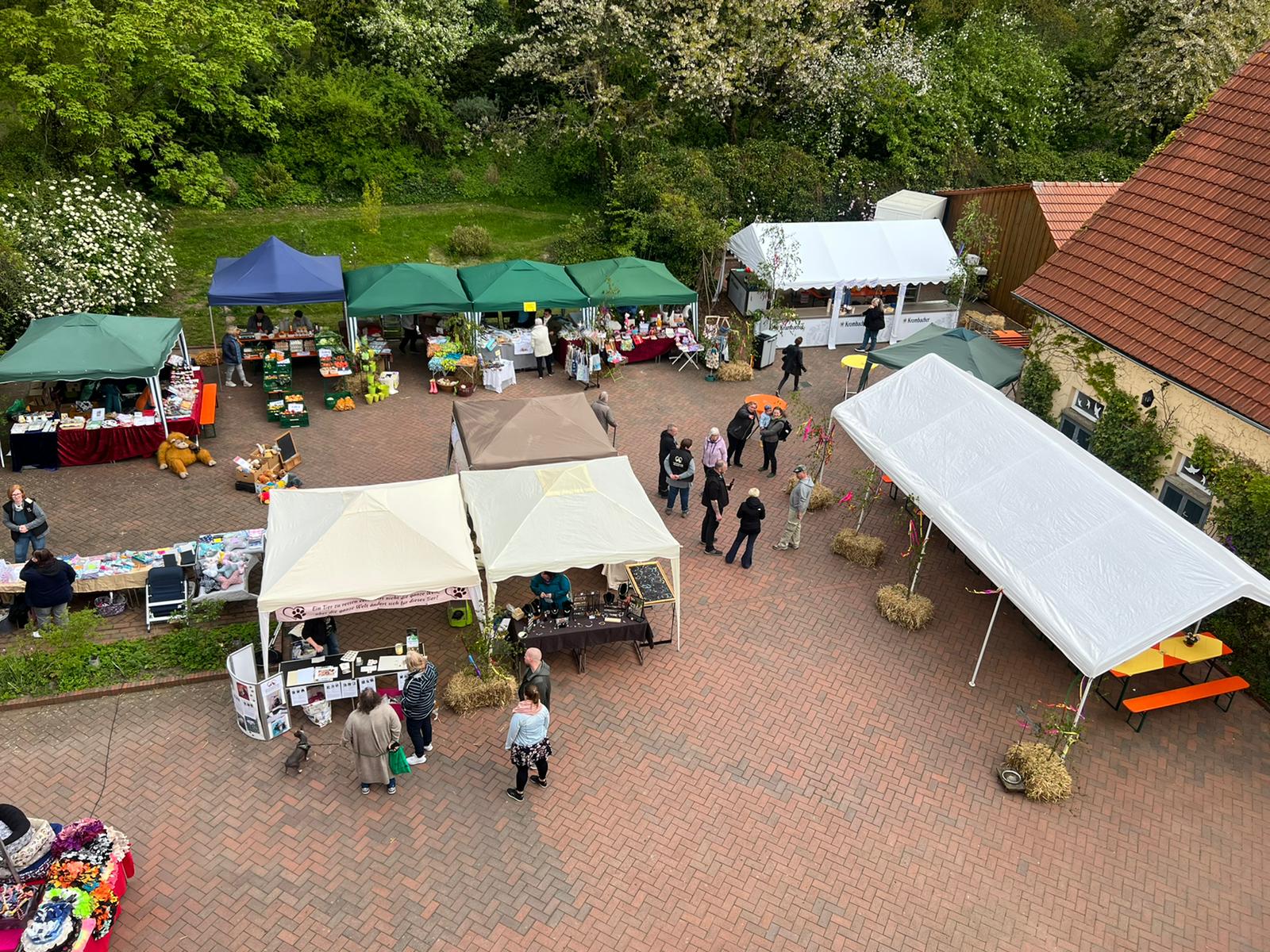Das Herbstfest der Katzenfreunde Bissendorf lädt mit vielen Ständen zum Verweilen ein. / Foto: Katzenfreunde Bissendorf e.V.