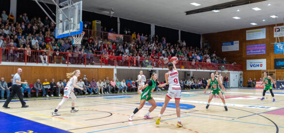 Girolive-Panthers Osnabrück vs. Rutronik Stars Keltern / Foto: Dieter Reinhard