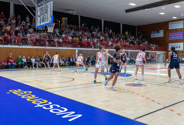 Girolive-Panthers unterliegen knapp gegen Eisvögel USC Freiburg, 30.09.2023 / Foto: Dieter Reinhard