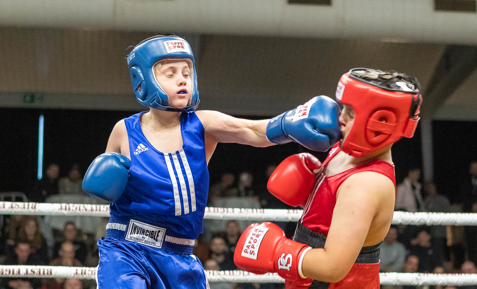 1DX28487 Foto: Dieter Reinhard