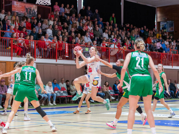 Girolive-Panthers Osnabrück vs. Rutronik Stars Keltern / Foto: Dieter Reinhard