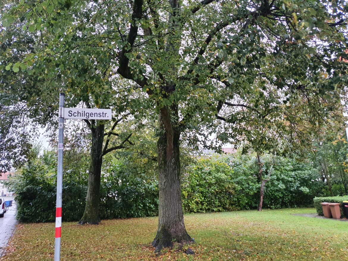 Schilgenstraße / Foto: Westermann