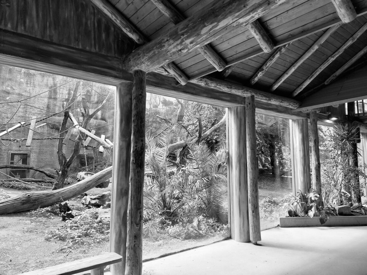 Foto: Zoo Osnabrück