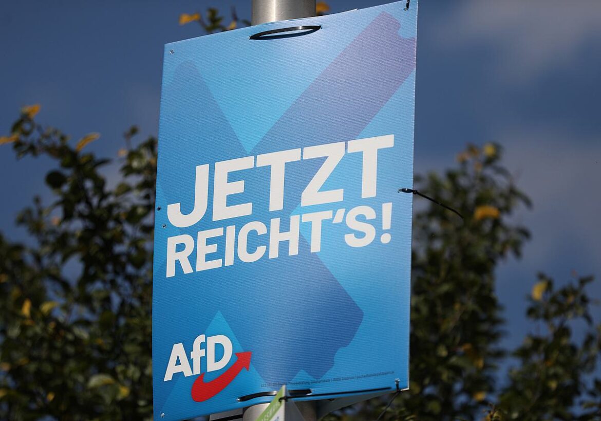 AfD Plakat