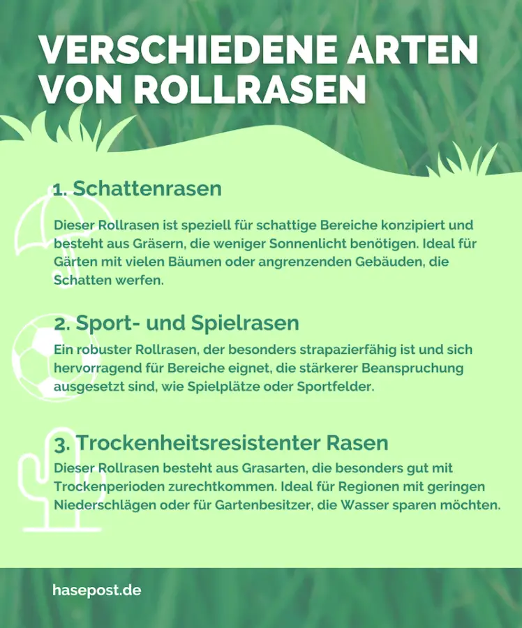 Infografik Rollrasen