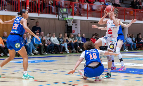 GiroLive Panthers vs. Gisa Lions MBC / Foto: Dieter Reinhard