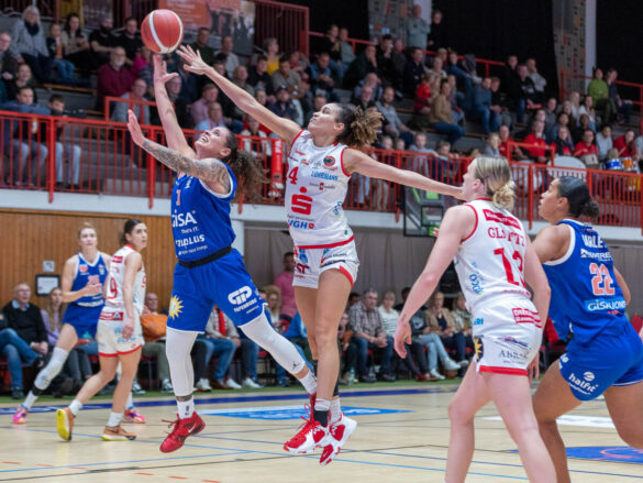 GiroLive Panthers vs. Gisa Lions MBC / Foto: Dieter Reinhard