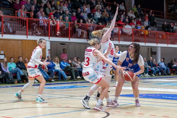 GiroLive Panthers vs. Gisa Lions MBC / Foto: Dieter Reinhard