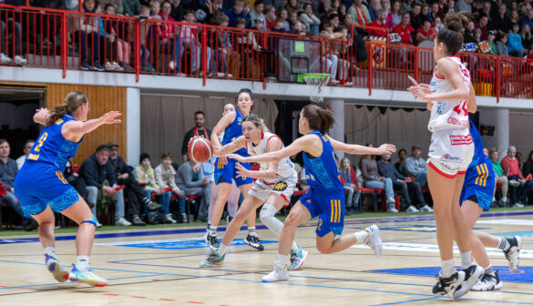 1DX21677 OSC Panthers vs. Alba Berlin (26.11.2023) / Foto: Dieter Reinhard