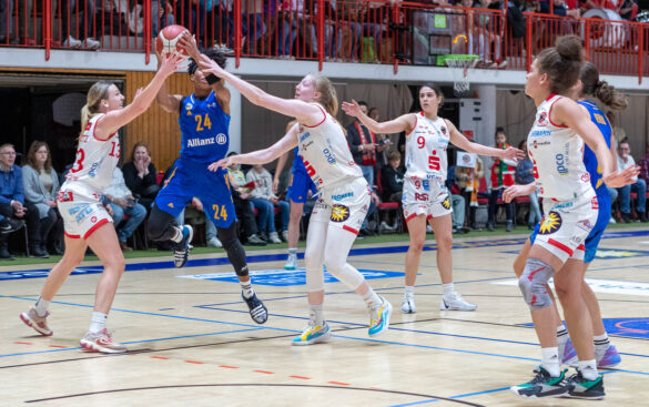 1DX22077 OSC Panthers vs. Alba Berlin (26.11.2023) / Foto: Dieter Reinhard