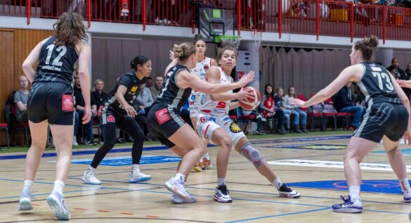 Girolive Panthers Osnabrück vs. TK Hannover Luchse am 11.12.2023 / Foto: Dieter Reinhard