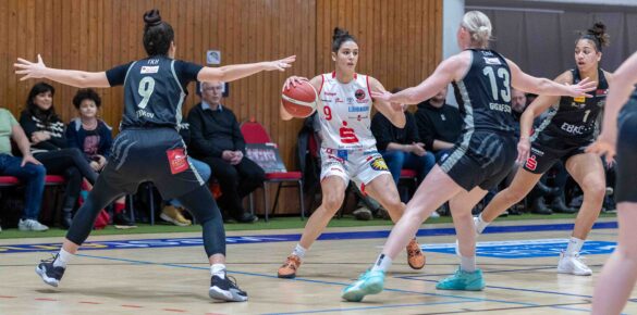 Girolive Panthers Osnabrück vs. TK Hannover Luchse am 11.12.2023 / Foto: Dieter Reinhard