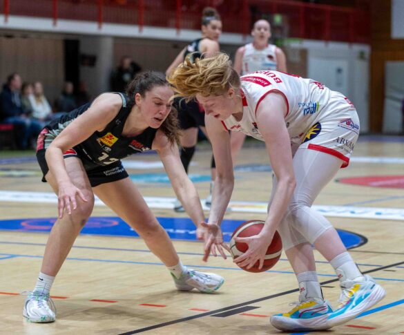 Girolive Panthers Osnabrück vs. TK Hannover Luchse am 11.12.2023 / Foto: Dieter Reinhard