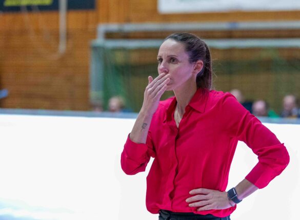 Girolive Panthers Osnabrück vs. TK Hannover Luchse am 11.12.2023 / Foto: Dieter Reinhard