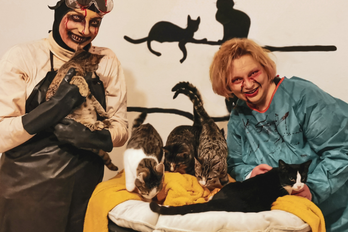 Horror im Advent / Foto: Erschreckercrew