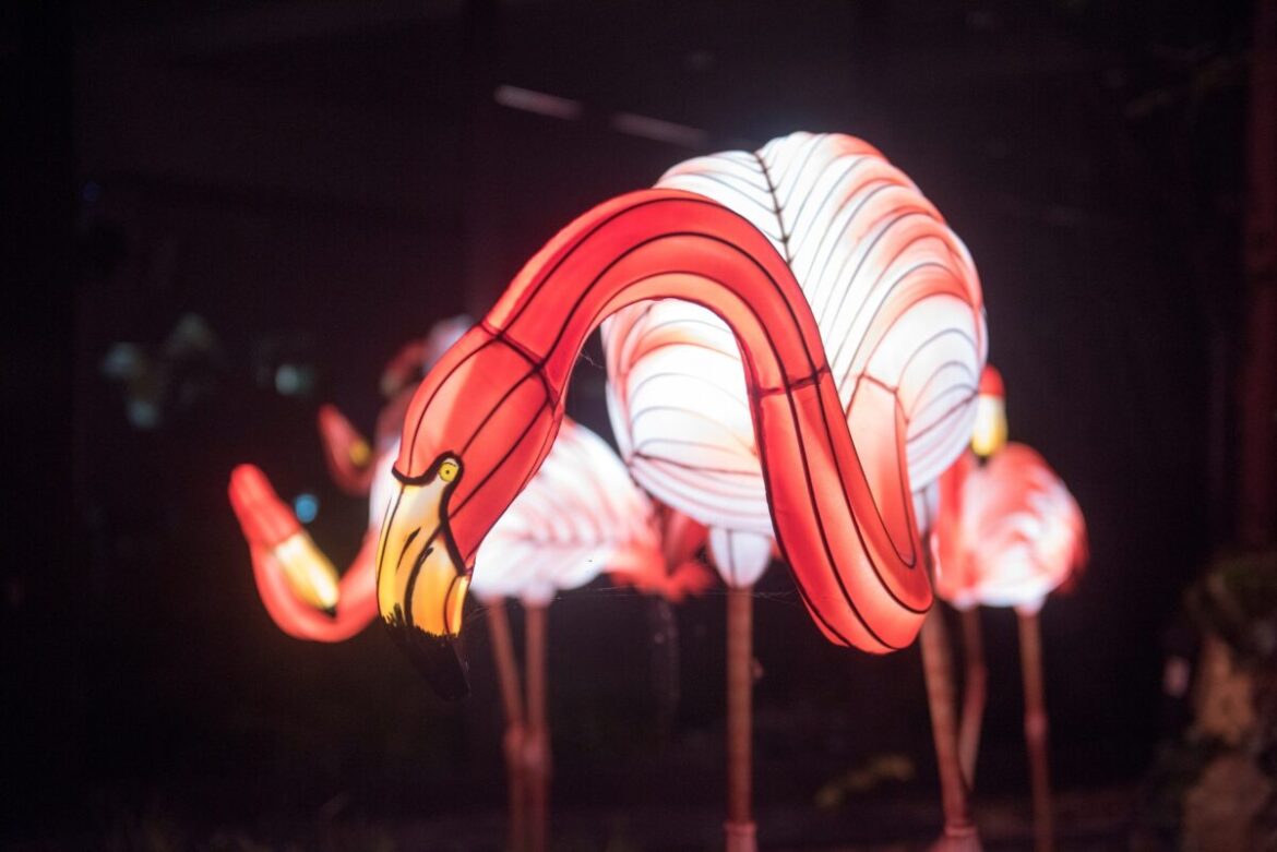 Zoo-Lights / Foto: Zoo Osnabrück