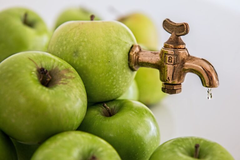 Apfelsaft, Äpfel / Foto: Steve Buissinne, Pixabay