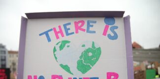 Klima Protestschild "There is no planet B"