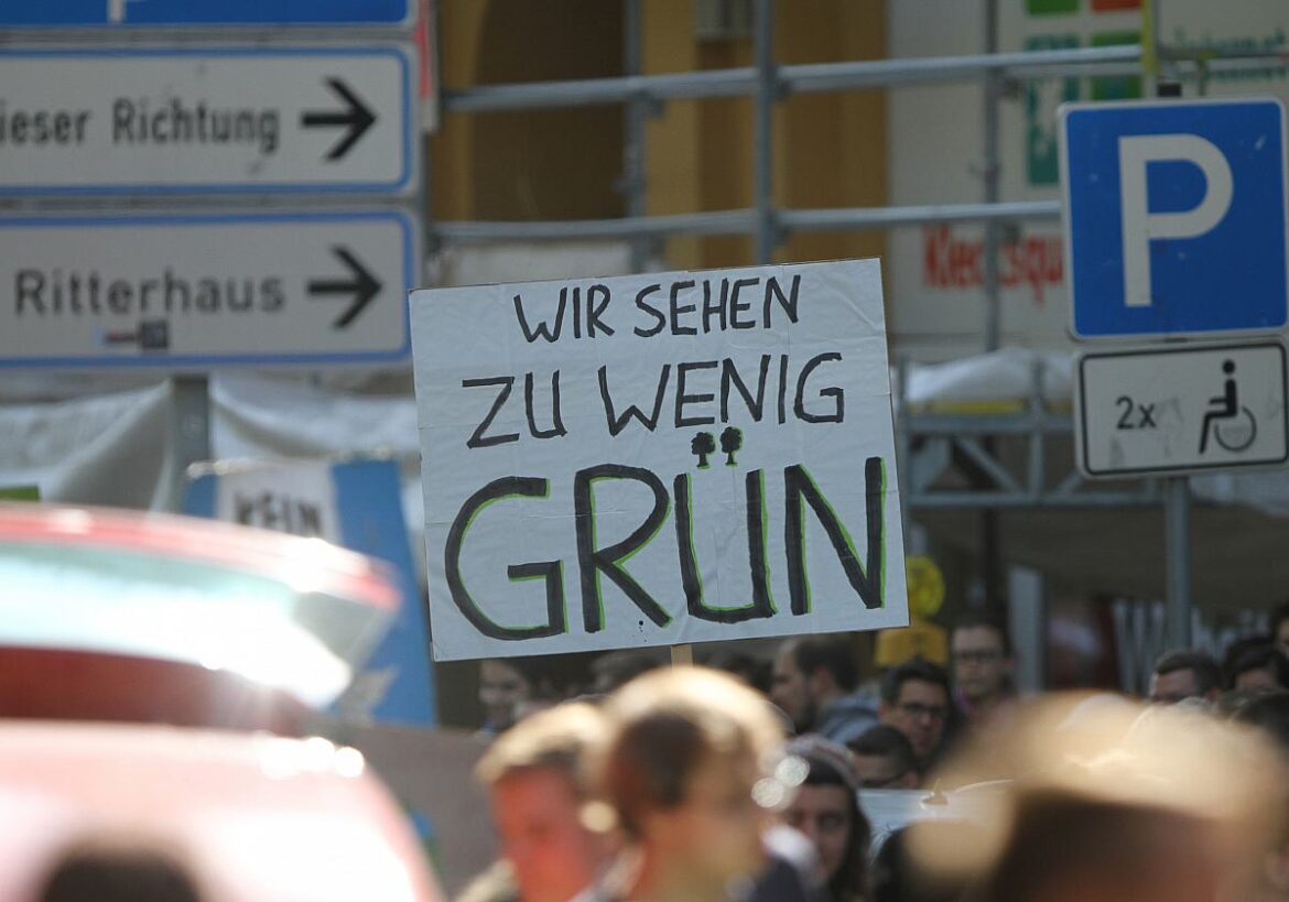 Klima Protestschild "Wir sehen wenig grün"