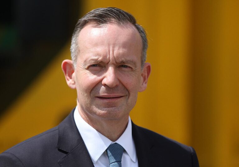 Volker Wissing (FDP)