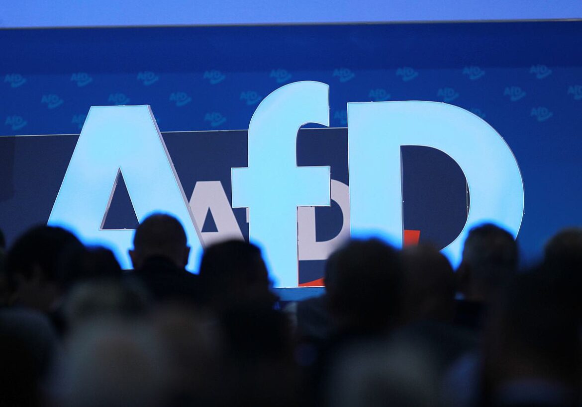 AfD Parteitag