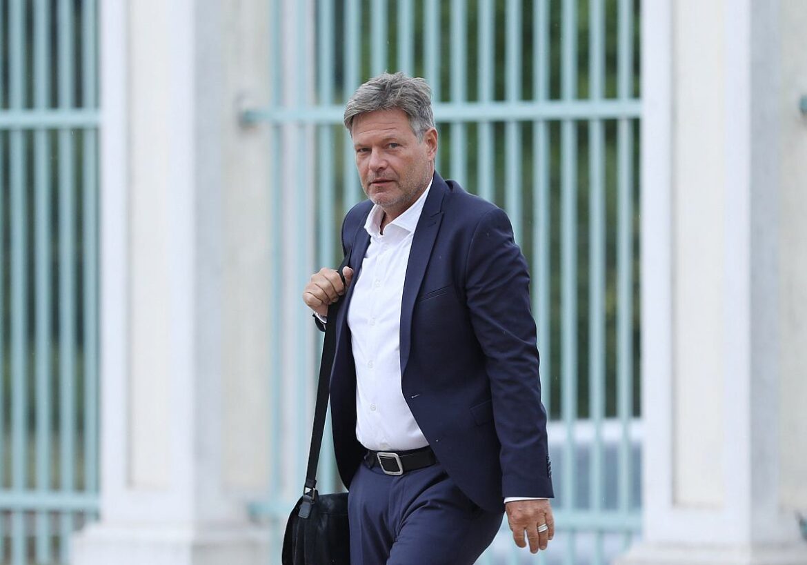 Robert Habeck (Grüne)