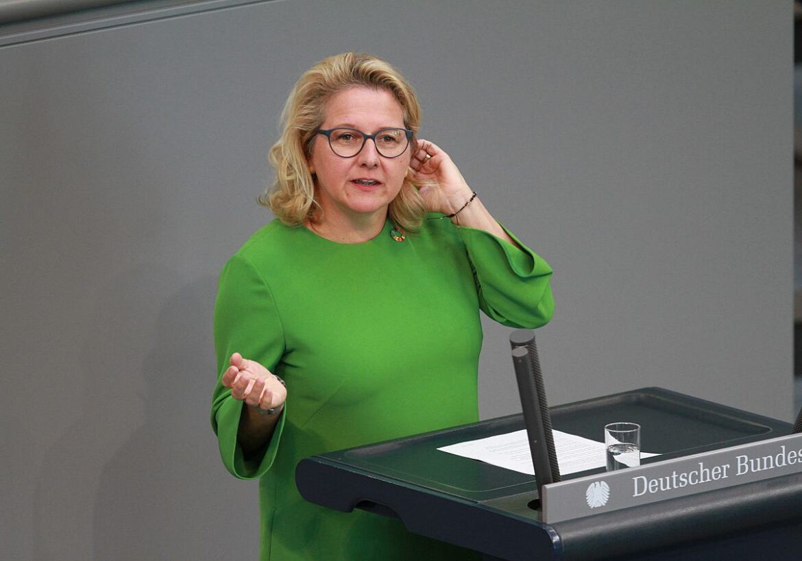 Bundesentwicklungsministerin Svenja Schulze (SPD)