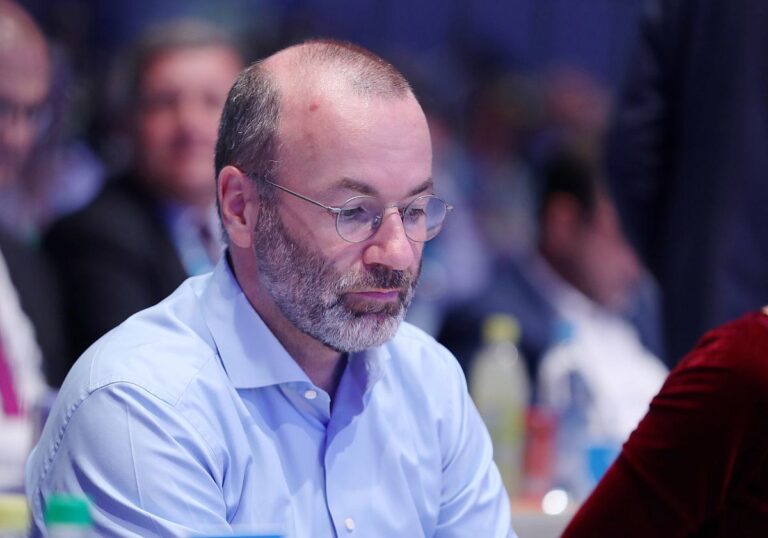 Manfred Weber (CSU)