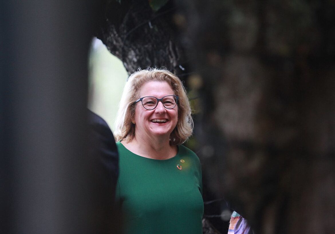 Bundesentwicklungsministerin Svenja Schulze (SPD)