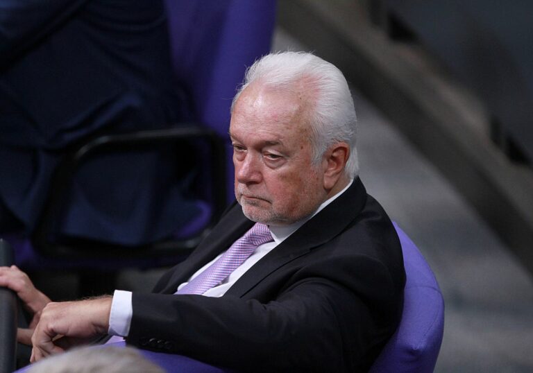 Wolfgang Kubicki (FDP)
