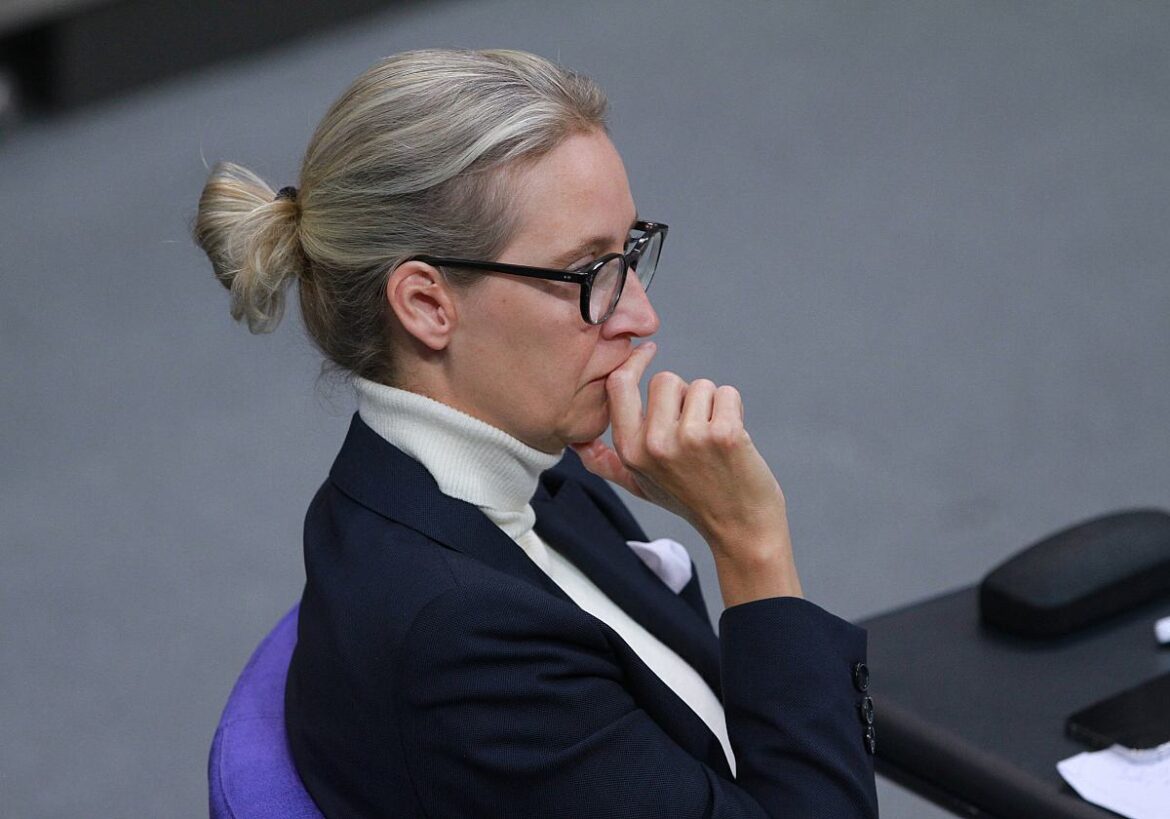 Alice Weidel (AfD)