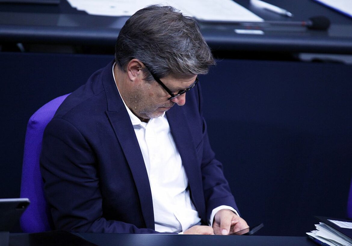 Robert Habeck (Grüne)