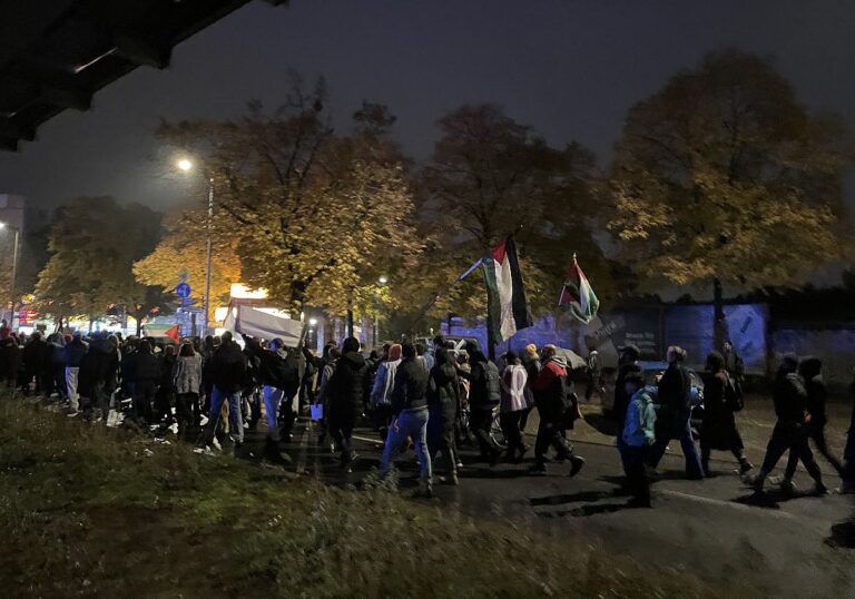 Palästinenser Demo / dts