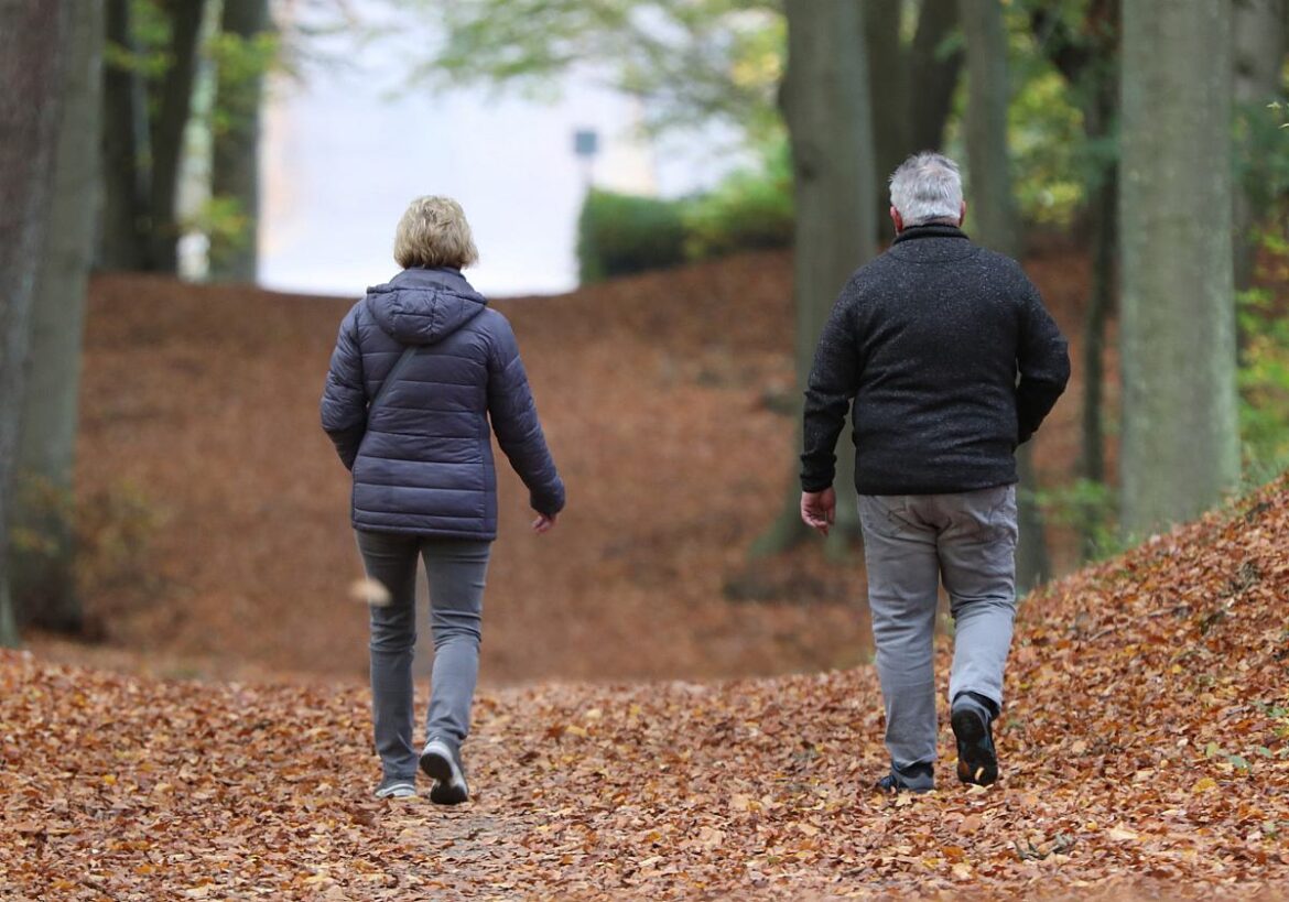 Mann und Frau spazieren im Wald