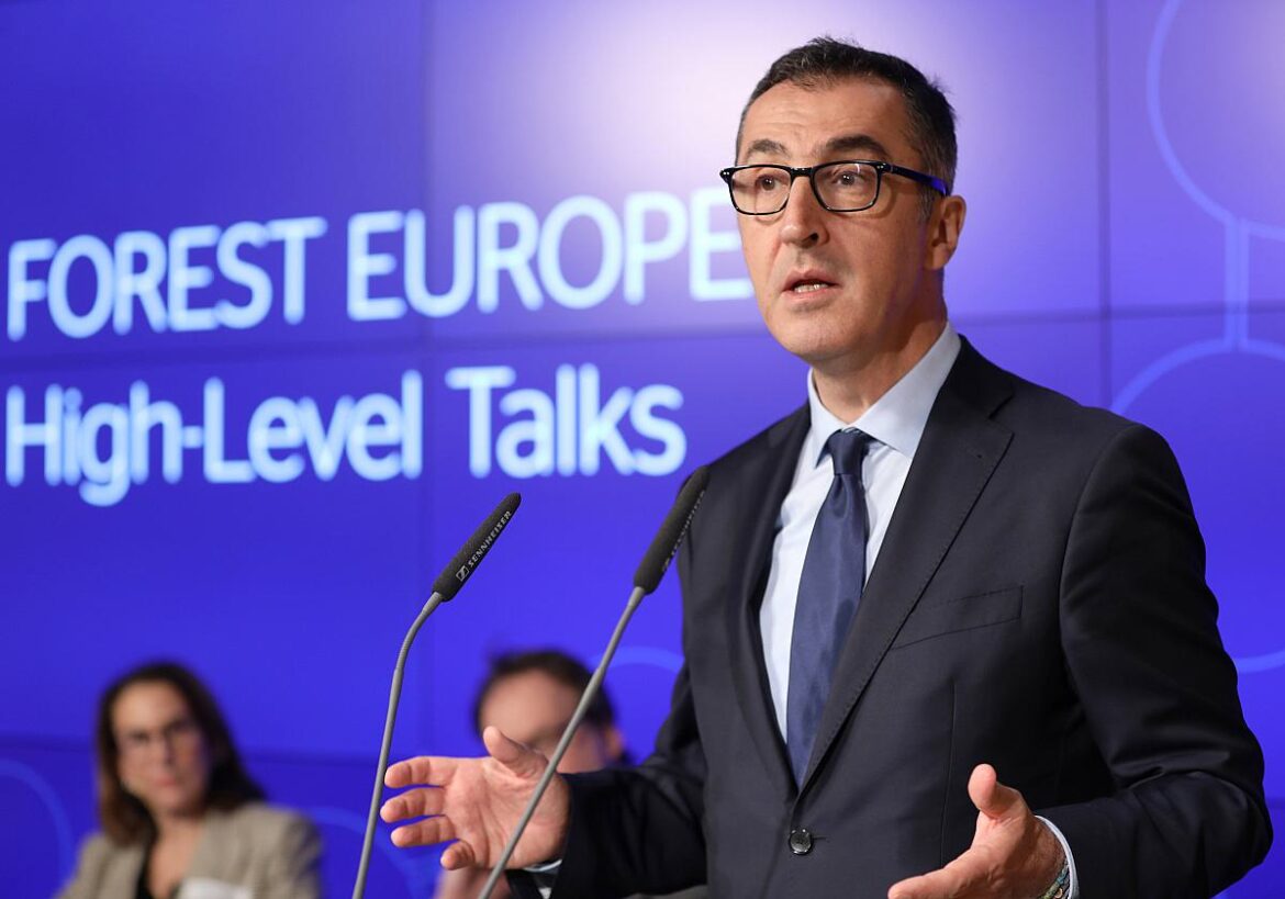 Cem Özdemir (Grüne)