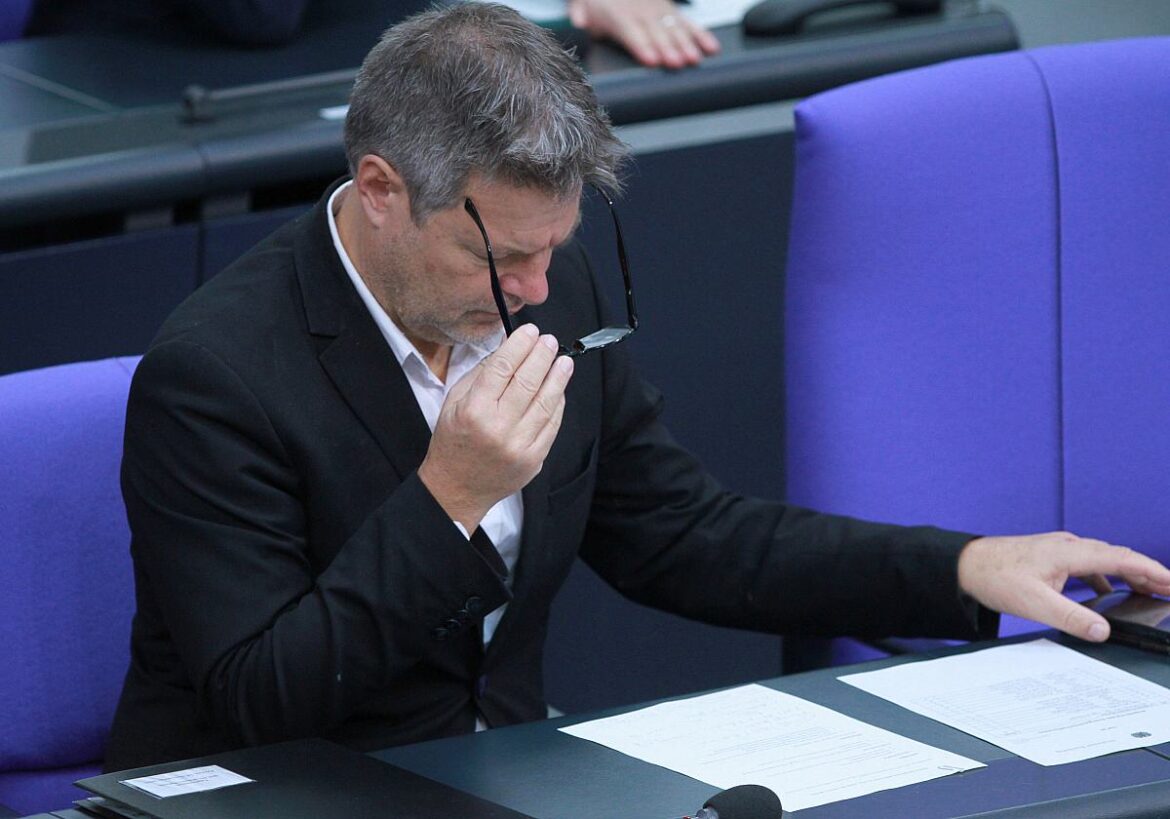 Bundeswirtschaftsminister Robert Habeck (Grüne)