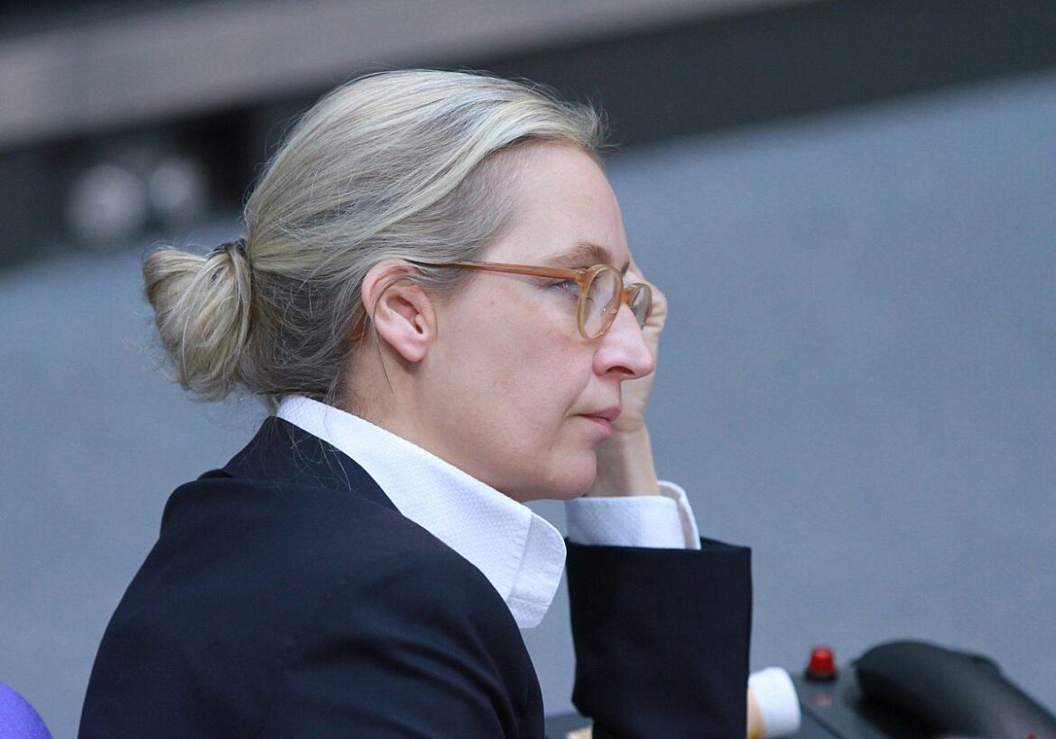 Alice Weidel (AfD)