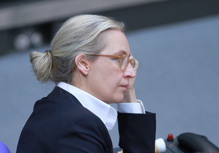 Alice Weidel (AfD)