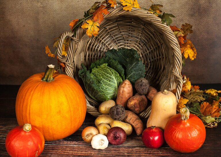Symbolbild Herbst / Foto: Sabrina Ripke, Pixabay